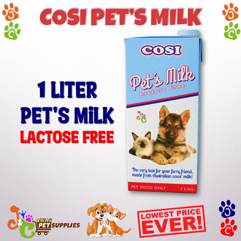 Are Dogs And Cats Lactose Intolerant