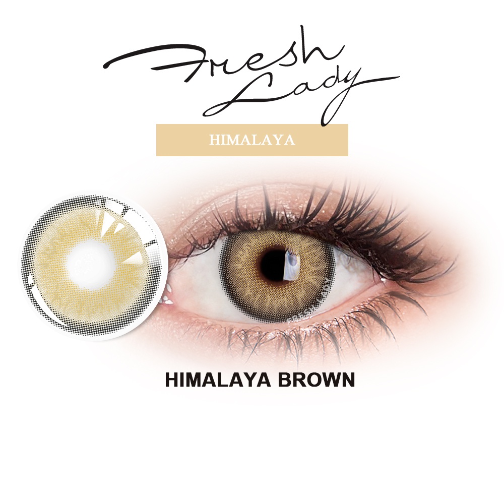 Fresh Lady Brown Contact Lenses New York Big Eye Makeup Contact Lens