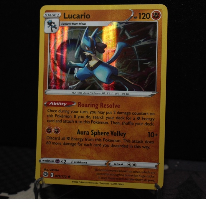 Pokemon TCG - Mix - Rare Holo Cards (FIGHTING TYPE) | Shopee Philippines