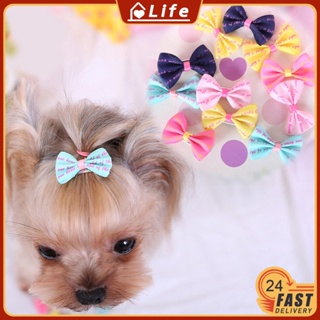 Pcs Dog Cat Puppy Hair Clips Bowknot Hairpin Cute Simple And Beautiful Pet Hairpin Accessories