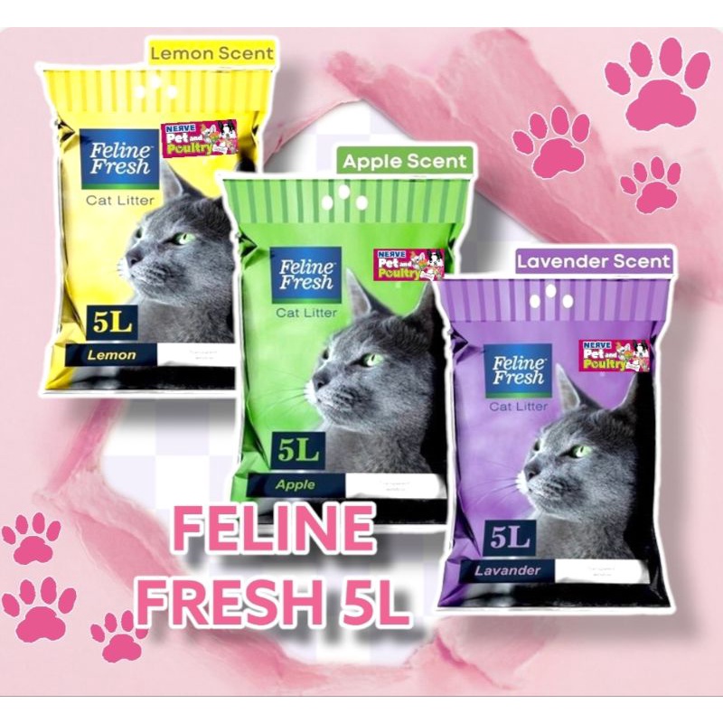 FELINE FRESH CAT LITTER SAND 5L Shopee Philippines