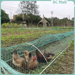Multi-Purpose PE Plant Trellis Net Heavy-Duty Garden Netting Poultry Breeding Netting Anti-Bird Net