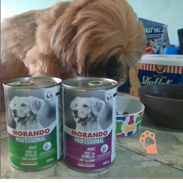 Dog Food for Adult 400g x 3 Cans Morando Professional Adult Dog Pate' with Veal 400g #5