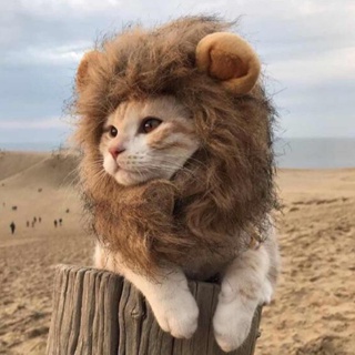 Cat lion head cover funny pet dress up ears hat dog cat cat cute funny headdress hair accessories