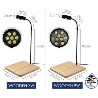 ▦▩LED Light Stand with Wooden Base for Indoor Succulent Plant Display, Wabi Kusa, Jarrarium, Mini Be #4