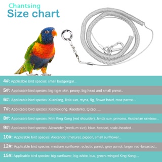 <Chantsing> Pet Bird Leash Kit Anti-bite Flying Training Rope Portable Training Rope Ultra-light Parrot Harness For Lovebird/Cockatiel/Macaw Pet Supplies On Sale #7