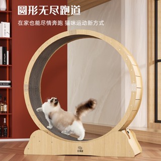 ﹉∏cat treadmill pet treadmill dog and fitness roller silent sports running wheel furniture pet #1