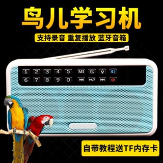 ┇Parrot learning machine Starlings learning to speak trainer bird use repeater to teach language a #1