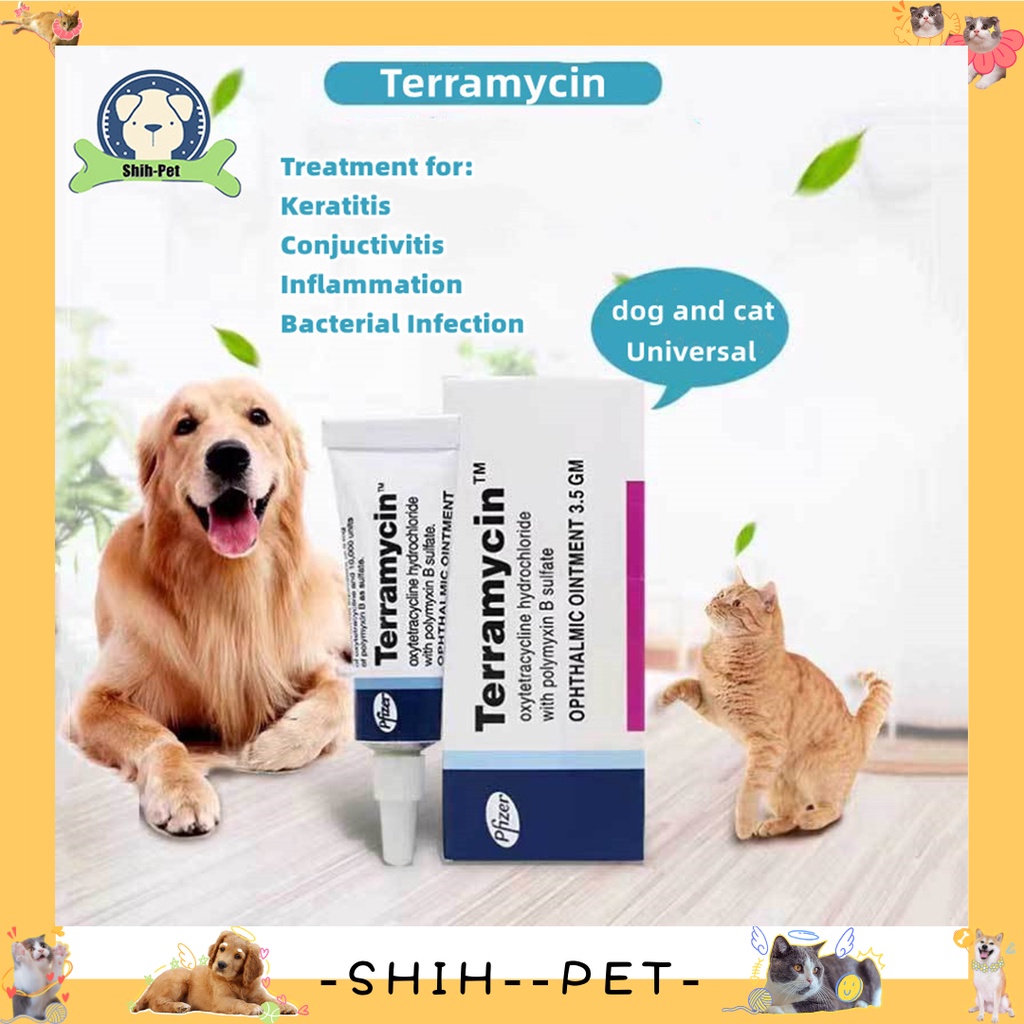 how do you give terramycin to a dog