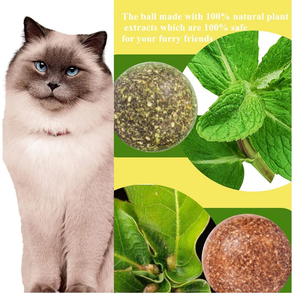 Catnip Wall Ball Rotatable Treats Toys Creative Avocado Catnip Ball Kitty Toys for Cats Licking Ball #4