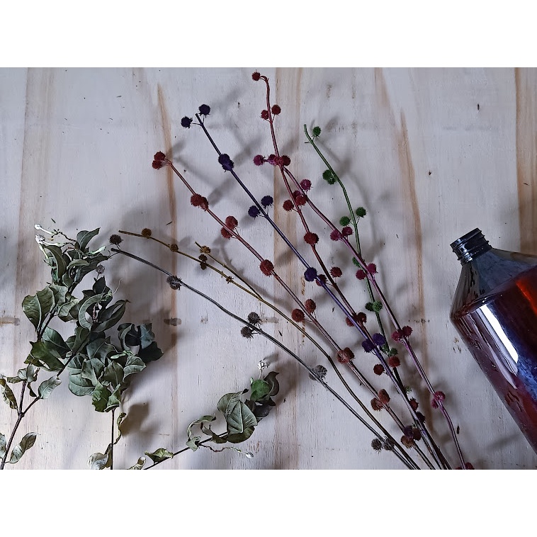 Dried Woll Ball (Real) for all occasions (3 stems Random Colors