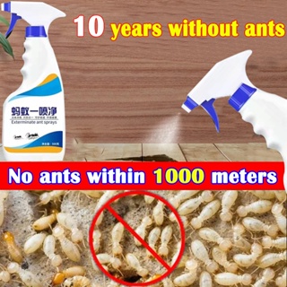 No ants within 100 meters Ant Spray Killer 500g can Kill Termites Ants Insect killer Terro Ant Kille