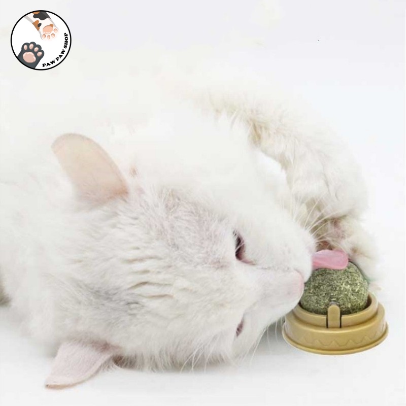 Cat Mint Ball Catnip Cat Wall Stick-on Ball Toy Treats Healthy Natural Removes Hair Balls Pet Snack #8