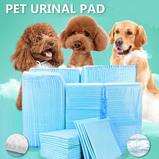 100pcs 50pcs Pet Puppy Potty Training Blue Pads Pet Dog Cat Wee Wee Urinal Training Pads Small Mediu