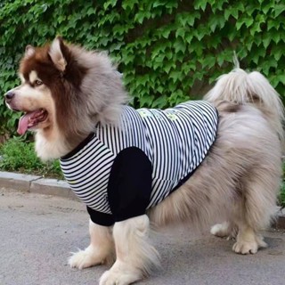Big Dog Summer Thin Cartoon Striped Half Sleeve Akita Labrador Husky Golden Retriever Alaska Dog Clothes m4Jk #5