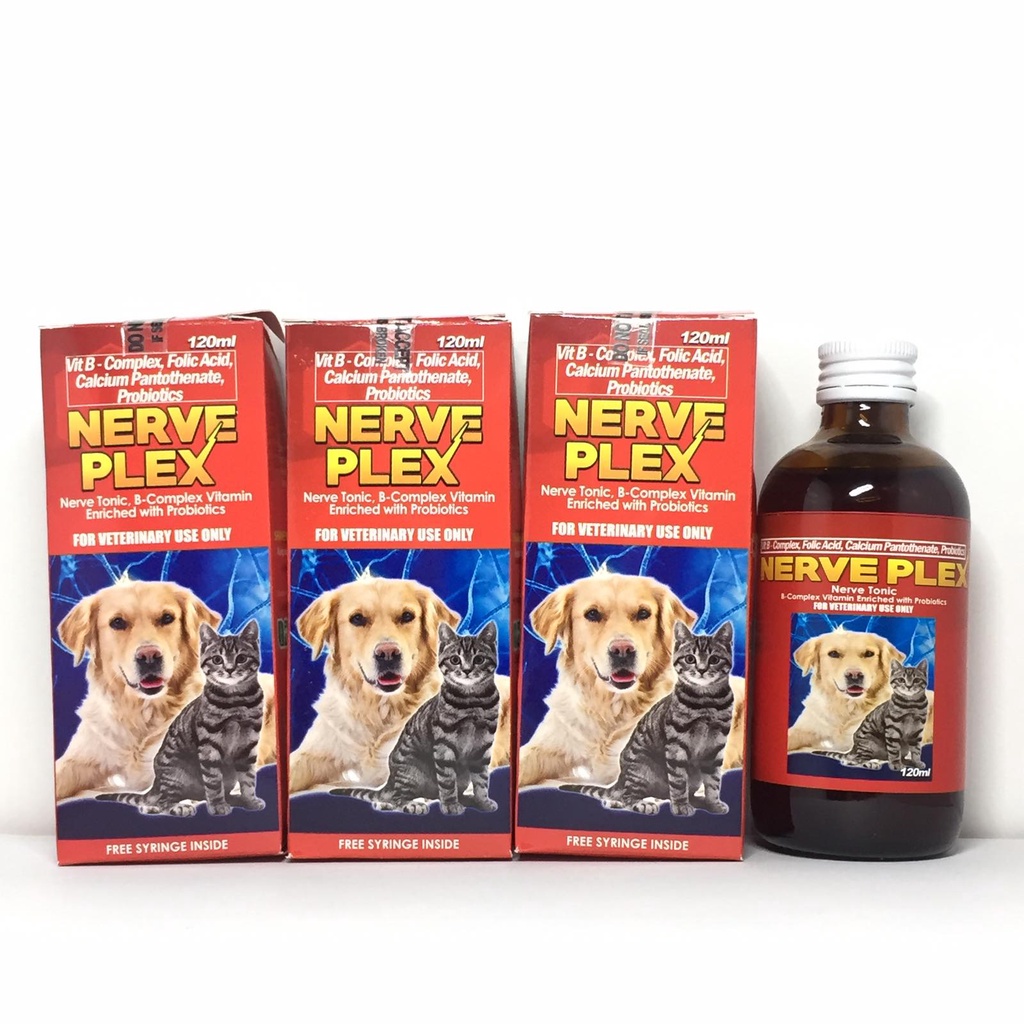 Can Nerve Damage In Dogs Be Repaired