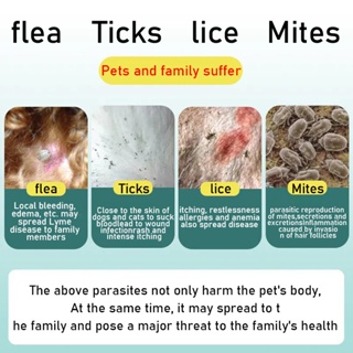 ♗[No More Fleas]Pet Flea and Tick Remover spray for Dogs Cats100ml Safety is Not Afraid of Licking❆
