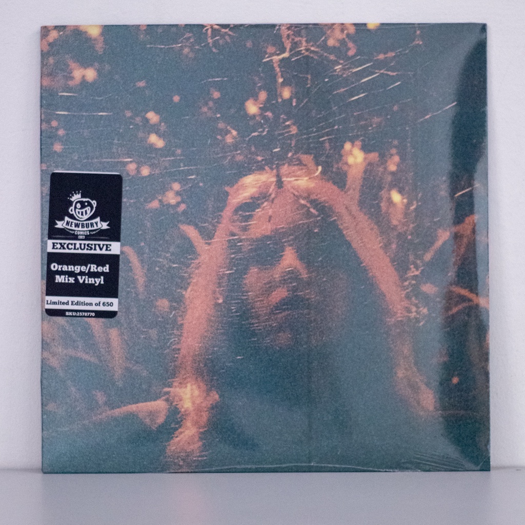 Turnover Peripheral Vision Limited LP Vinyl Record Album Shopee
