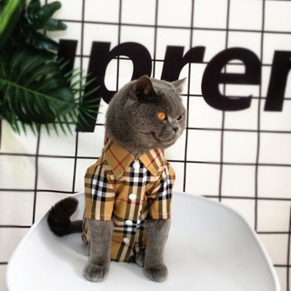 ㍿▧✚Cat clothes summer thin section Teddy Bichon Pomeranian small dog spring and autumn plaid shirt p