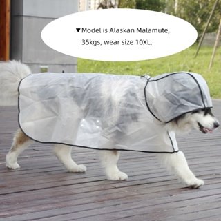 Transparent Large dog raincoat Pet raincoat Dog Raincoat Alaska Labrador big dog raincoat Rainy Day #6
