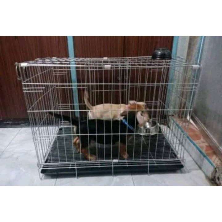 heavy duty XXL collapsible dog cage GALVANIZE avail po guaranted lowest