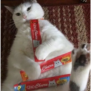 Inaba Ciao Churu Cat Treats - 14g X 20 pcs per pack #2
