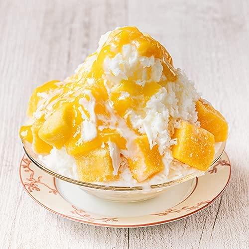 FESCO YuKi YuKi 2 | Shaved Ice Maker fluffy/ice crusher/shaver/grinder machine Taiwan Japanese style sweets