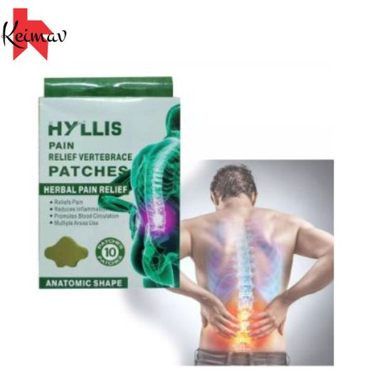Back Pain Patch 10 patches Herbal Pain Relief Shoulder Back Knee Relief