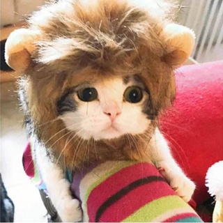 Cat Funny Lion Head Transformation Costume Clothes Headgear Hat Accessories Pet Supplies