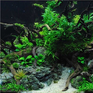 1 Pcs Natural Tree Trunk Aquarium Decoration Wood Artwork Decor Landscaping Ornaments Decor Fish Tan #3