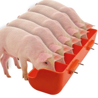 Plastic Piglet Trough Automatic Feeding Five Grids Pig Sow Feeder Delivery Bed Feeder #6