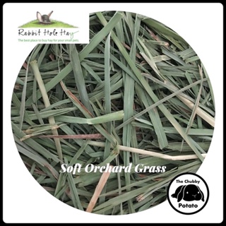 Rabbit Hole Hay - Soft Orchard Grass (repacked 500g)