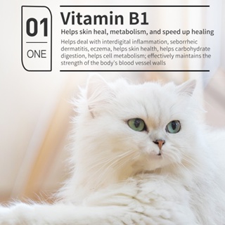 Puainta 30ml Vitamin B Complex Solution for Pet Eye Protection, Promotes Fur Growth Wound Healing Oral Mucosa Repair, VITAMINS for Dog & Cats #4