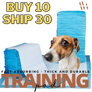 Dog Training Pad Pet Pee Pad Dog Potty Pads Cat Dog Pee Training Pad Pet Wee Pee Poop Training Pad