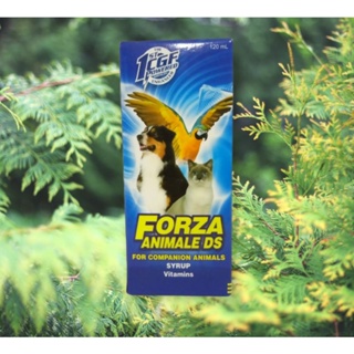 ✵FORZA ANIMALE DS SYRUP VITAMINS ( FOR COMPANION ANIMALS ) 120ml☬