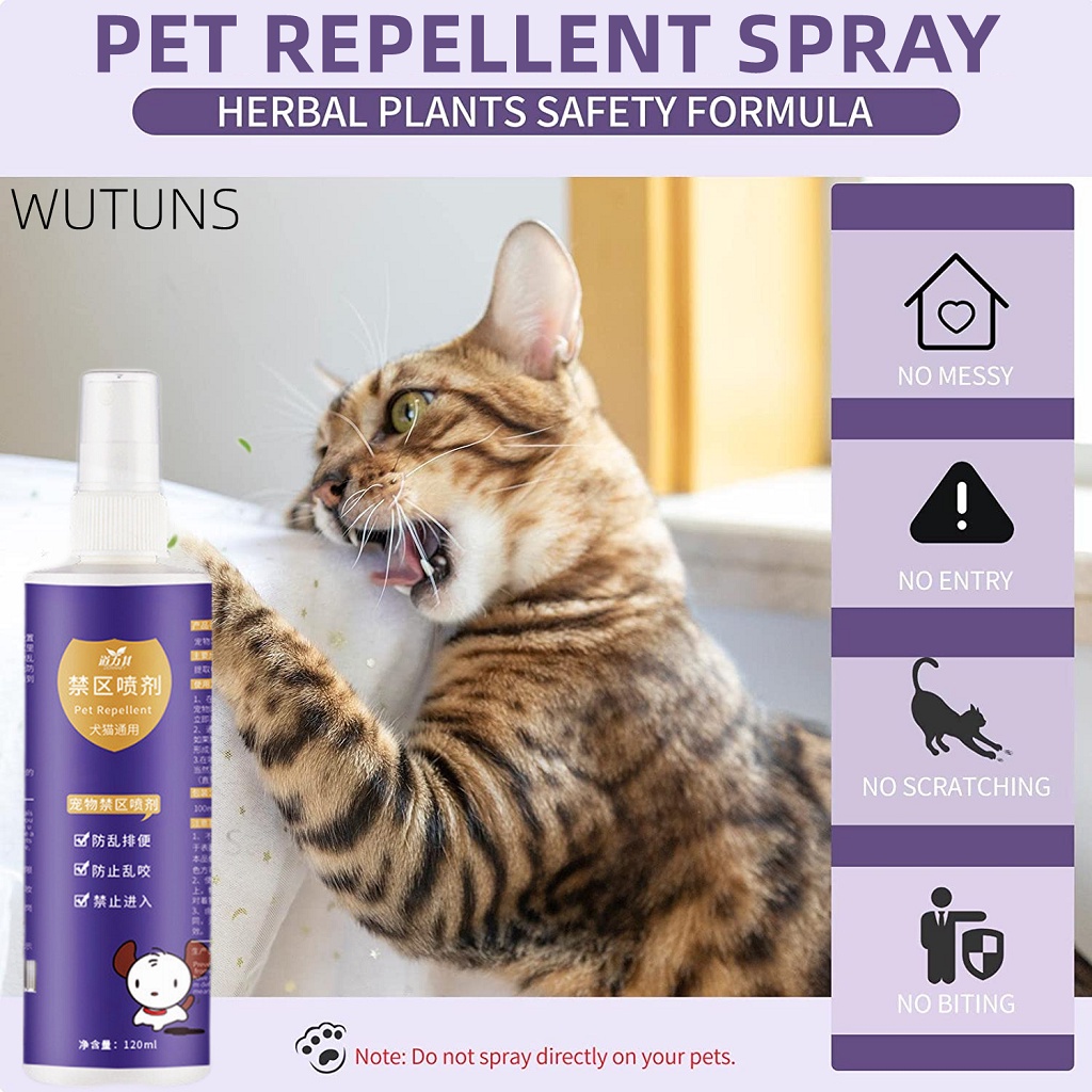 Catly Stay Away Cat Repellent Spray A Humane Garden Cat Deterrent