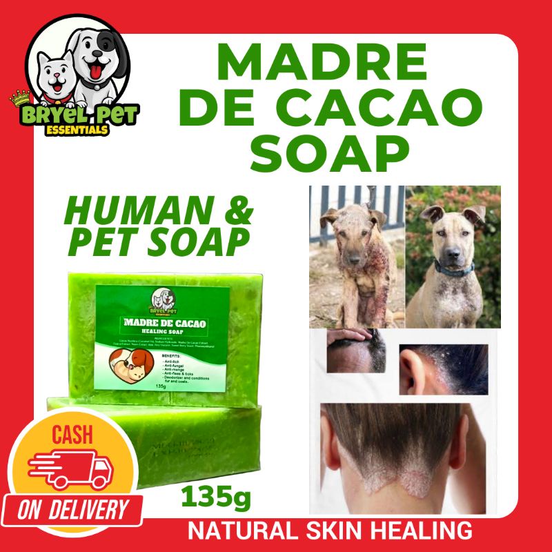 MADRE DE CACAO SOAP 135G/ FOR SKIN ALLERGIES GALIS KATI KATI DANDRUFF