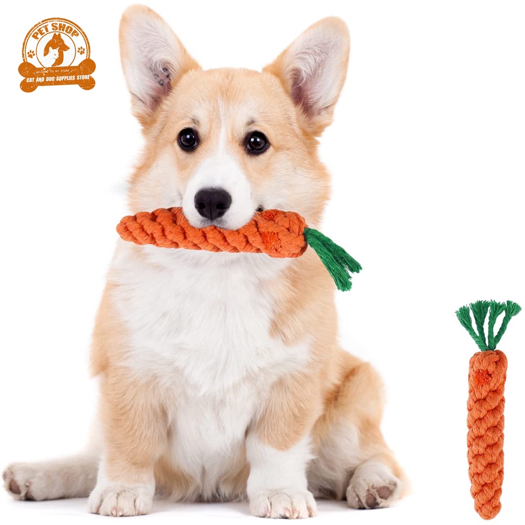 Are Carrots Good For Cleaning Dogs Teeth
