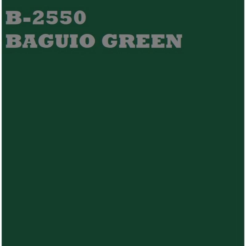 Boysen Roofgard BAGUIO GREEN 16liters Timba Pail B2550 [Wholesale!]