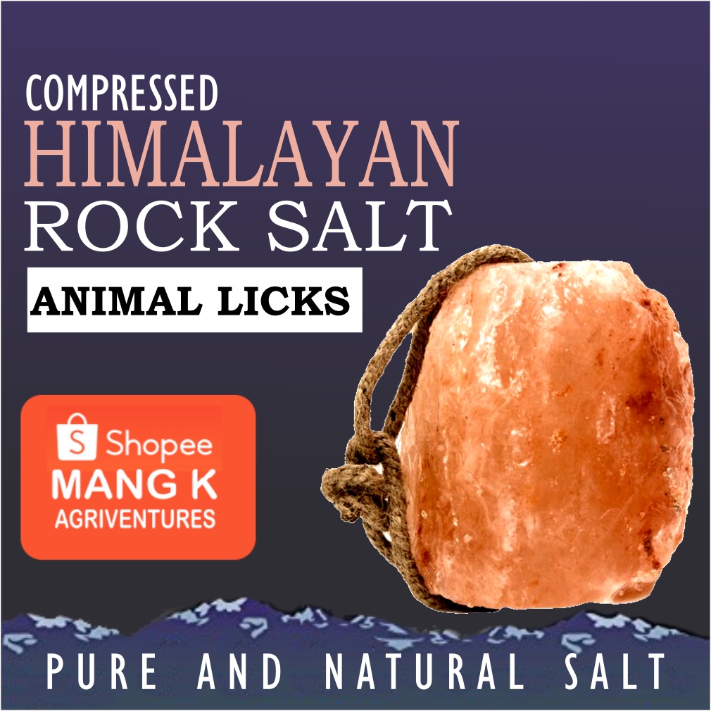 Himalayan Mineral Rock Salt Animal Licks| Compressed at Mabigat ...