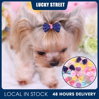 Pet Dog Cat Puppy Bow Tie Flower Bowknot Hair Clips Simple Beautiful Small Dogs Accessorie