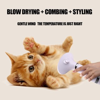 2 in 1 Portable Pet Dryer Dog Hair Dryer & Comb Pet Grooming Cat Hair Comb Dog Fur Blower Low Noise #3