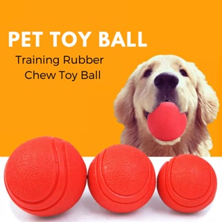 Dog Bouncing Fetch Indestructible Rubber Ball