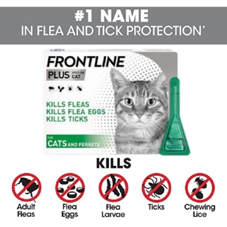 Frontline Plus Flea and Tick Spot Treatment for Cats(PER VIAL) Repellent Anti-Flea Anti-Itching