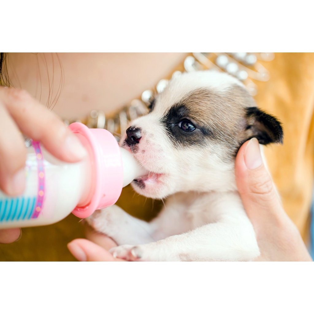 Esbilac Milk Replacer Puppy Milk Formula Dog Milk 340grams #3