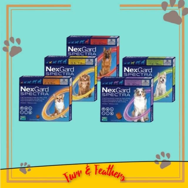 NEXGARD Spectra 1 Tablet and NEXGARD Afloxaner (F&F) Shopee Philippines