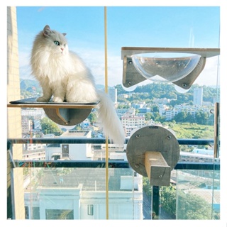 ✷۩Cat Climbing Ladder Universal Suction Cup Frame Creative Combined Acrylic Litter Sightseeing Hangi