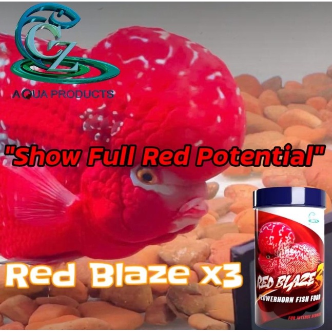 CZ Aqua kenta SBD Help Kok Pearl Flowerhorn Fish Food 100g red blaze