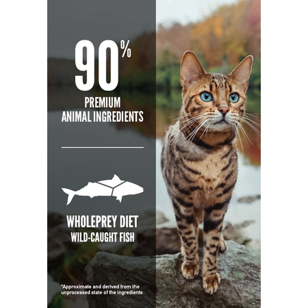Orijen Six Fish Cat 340g in original packaging I Dry Cat Food #2