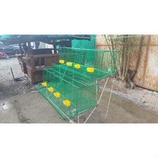◎☍▼??Battery Cages 4 Doors Coated Green